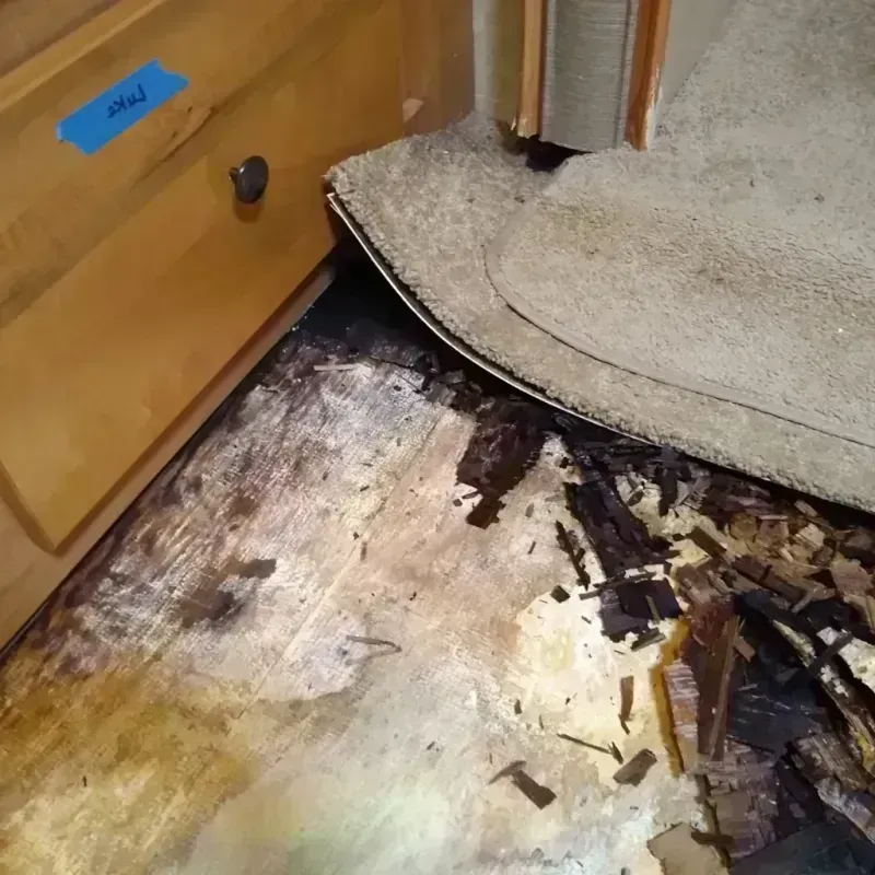 Wood Floor Water Damage in Chillum, MD